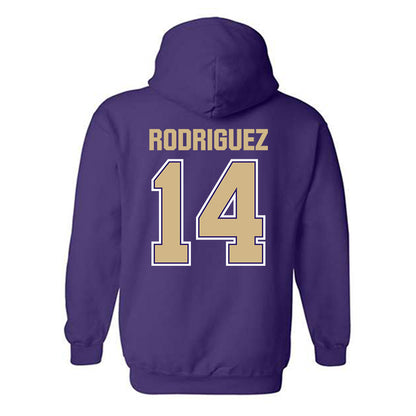 Washington - NCAA Softball : Amira Rodriguez - Classic Shersey Hooded Sweatshirt-1