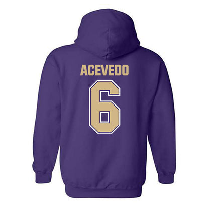 Washington - NCAA Softball : Melody Acevedo - Classic Shersey Hooded Sweatshirt-1