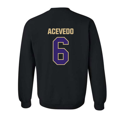 Washington - NCAA Softball : Melody Acevedo - Classic Shersey Crewneck Sweatshirt-1