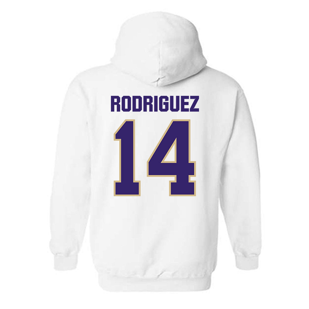 Washington - NCAA Softball : Amira Rodriguez - Classic Shersey Hooded Sweatshirt-1
