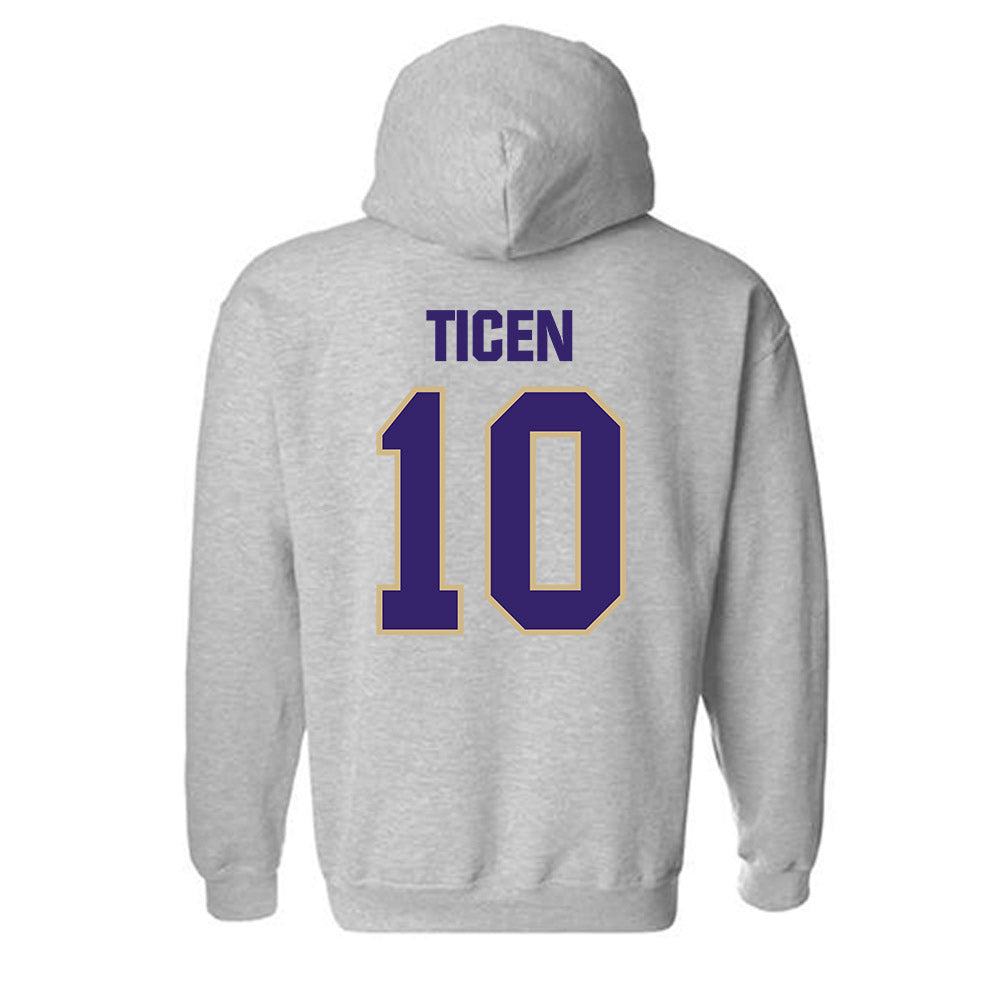 Washington - NCAA Softball : Annika Ticen - Classic Shersey Hooded Sweatshirt-1