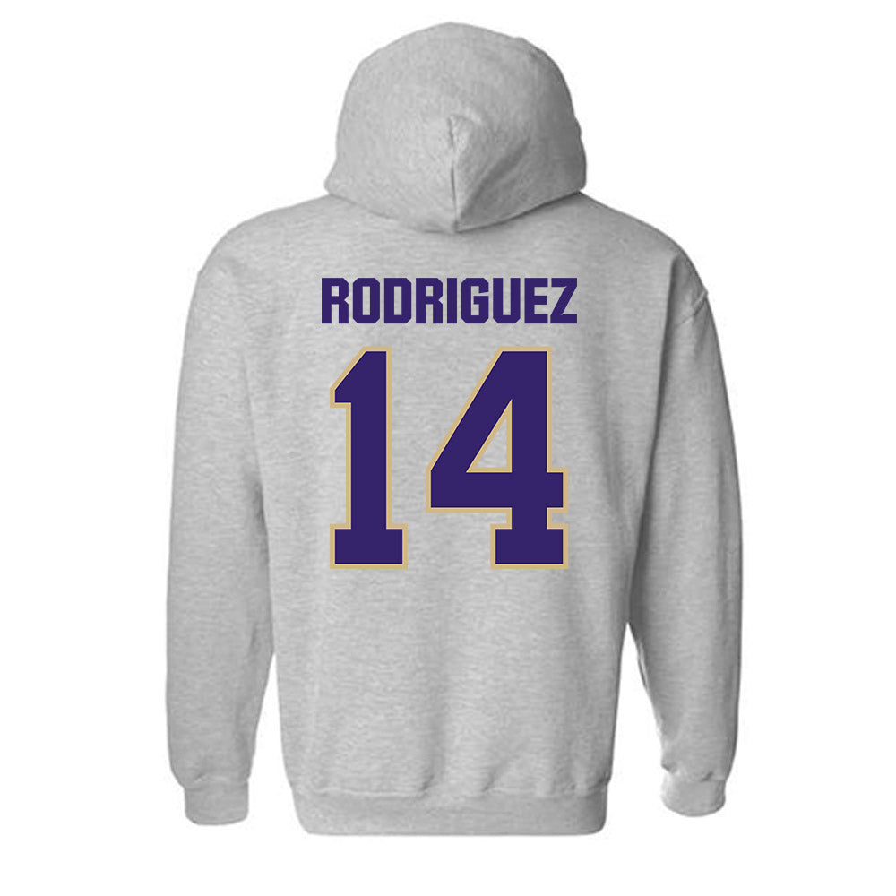 Washington - NCAA Softball : Amira Rodriguez - Classic Shersey Hooded Sweatshirt-1