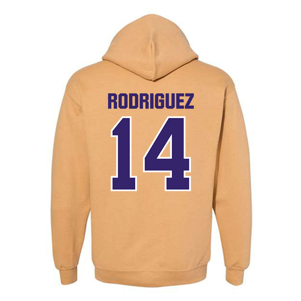 Washington - NCAA Softball : Amira Rodriguez - Classic Shersey Hooded Sweatshirt-1