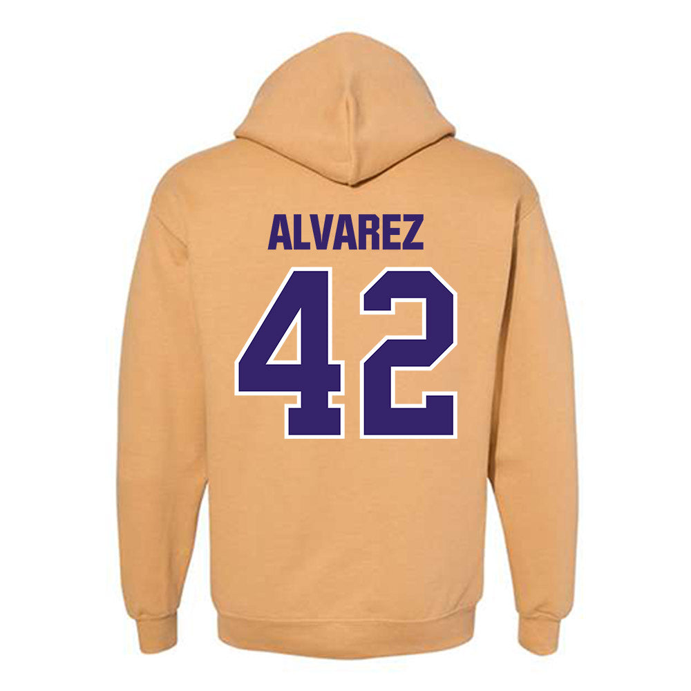 Washington - NCAA Softball : Giselle Alvarez - Classic Shersey Hooded Sweatshirt-1