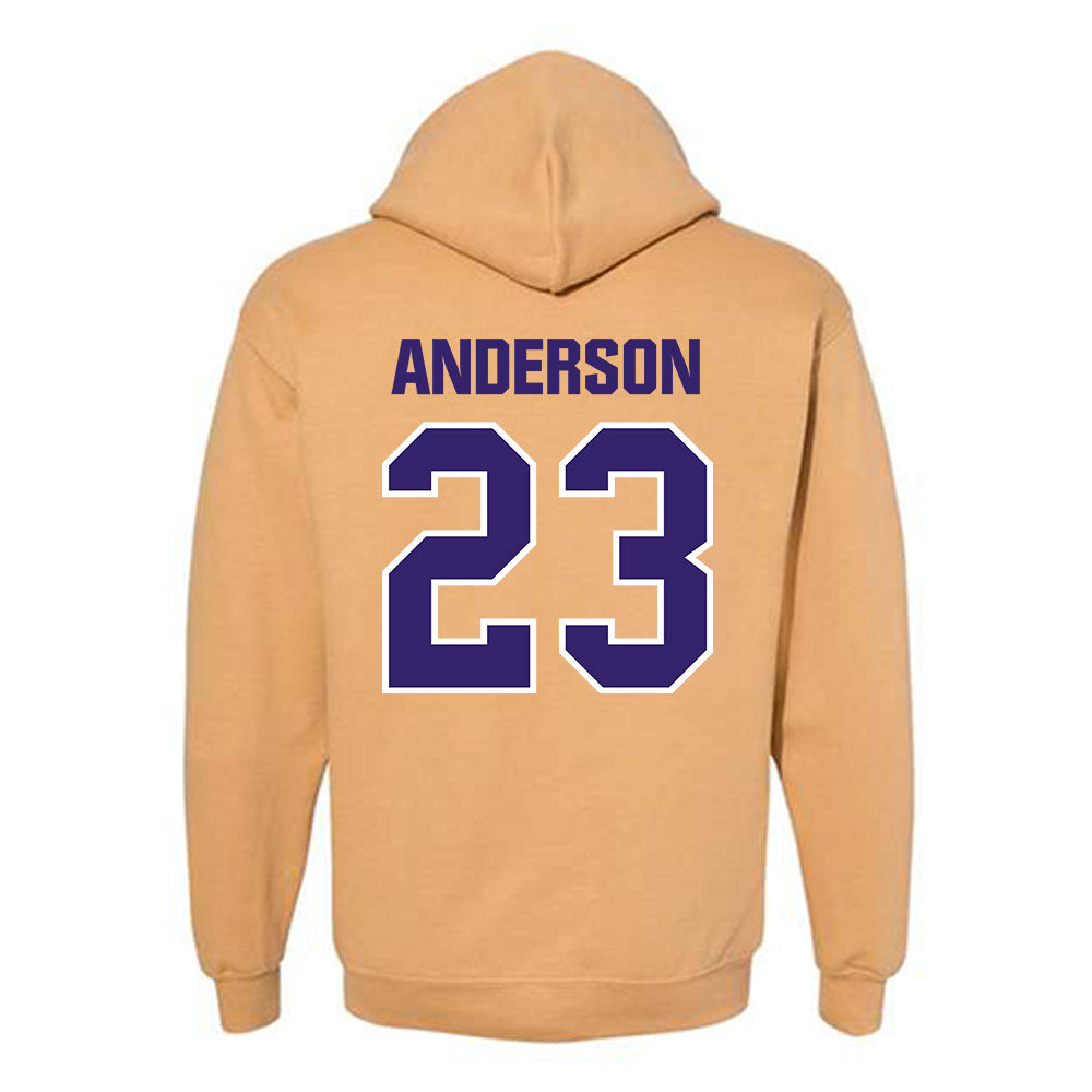 Washington - NCAA Women's Basketball : Olivia Anderson - Classic Shersey Hooded Sweatshirt-1