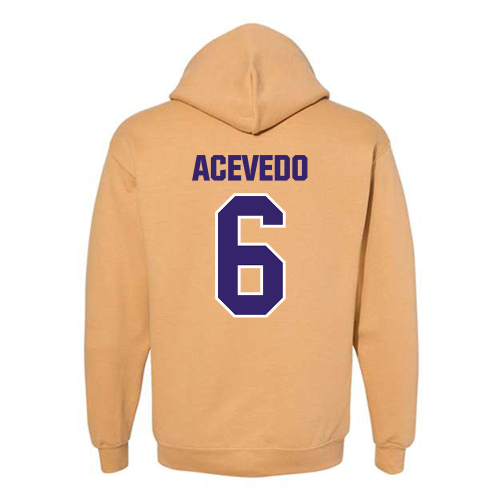 Washington - NCAA Softball : Melody Acevedo - Classic Shersey Hooded Sweatshirt-1