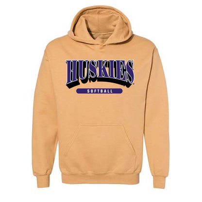 Washington - NCAA Softball : Alexis DeBoer - Classic Shersey Hooded Sweatshirt-0