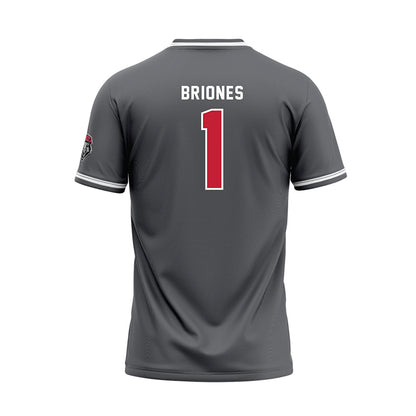 New Mexico - NCAA Softball : Gabrielle Briones - Dark Grey Baseball Jersey-1