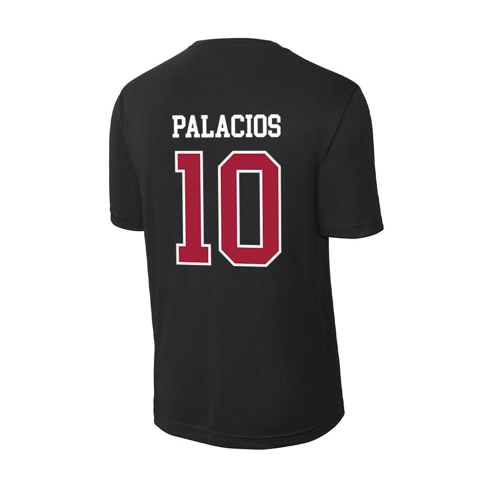Arkansas - NCAA Women's Soccer : Camila Palacios - Activewear T-Shirt-1