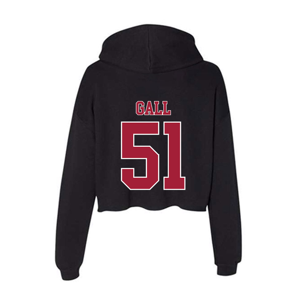 Stanford - NCAA Softball : Ava Gall - Women's Crop Fleece Hoodie-1
