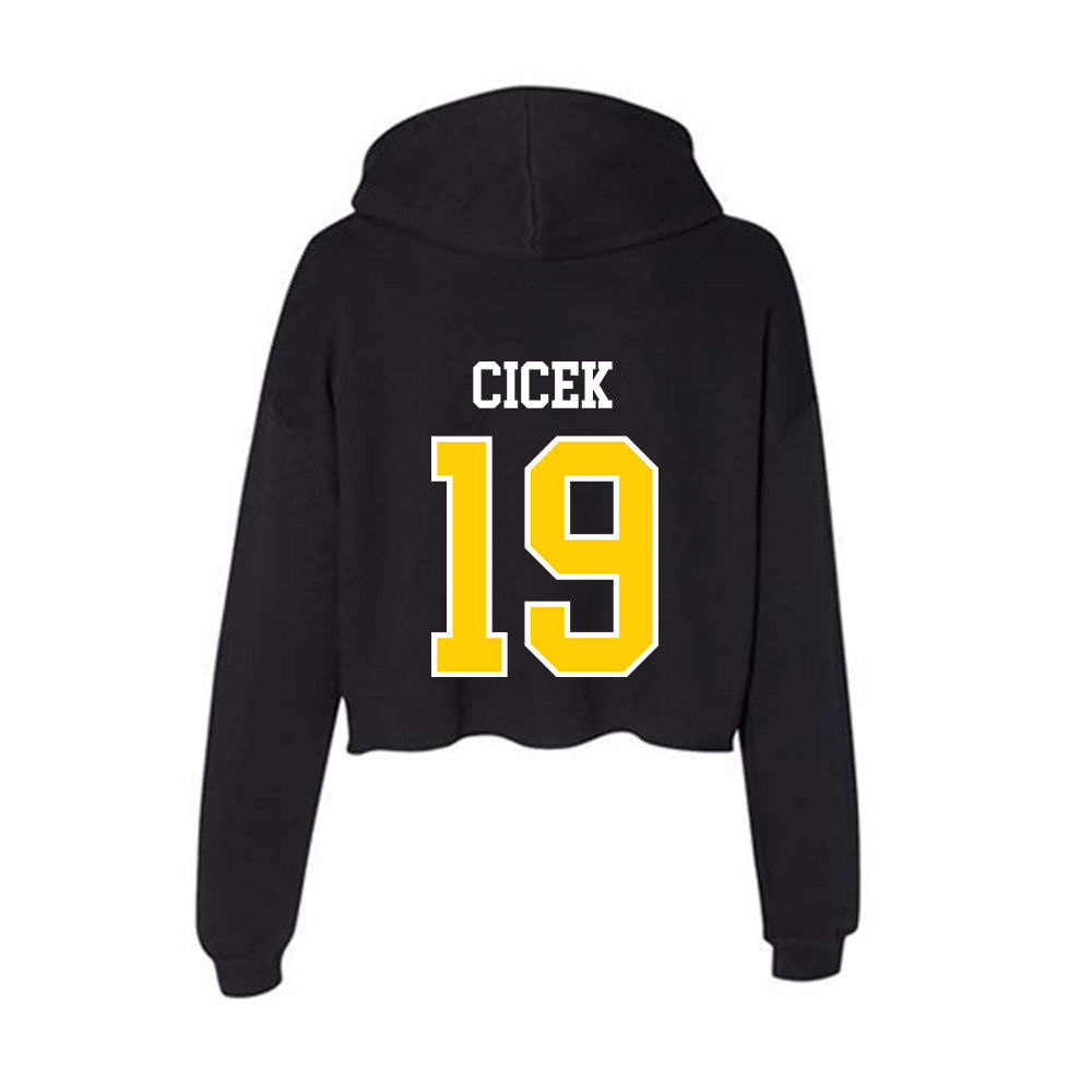 Michigan Tech - NCAA Men's Ice Hockey : Michael Cicek - Women's Crop Fleece Hoodie-1