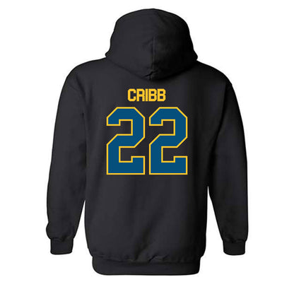 UMKC - NCAA Men's Soccer : Wesley Cribb - Classic Shersey Hooded Sweatshirt-1