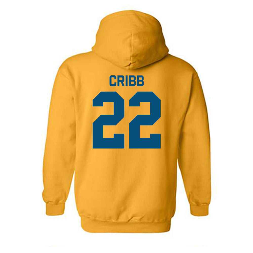 UMKC - NCAA Men's Soccer : Wesley Cribb - Classic Shersey Hooded Sweatshirt-1
