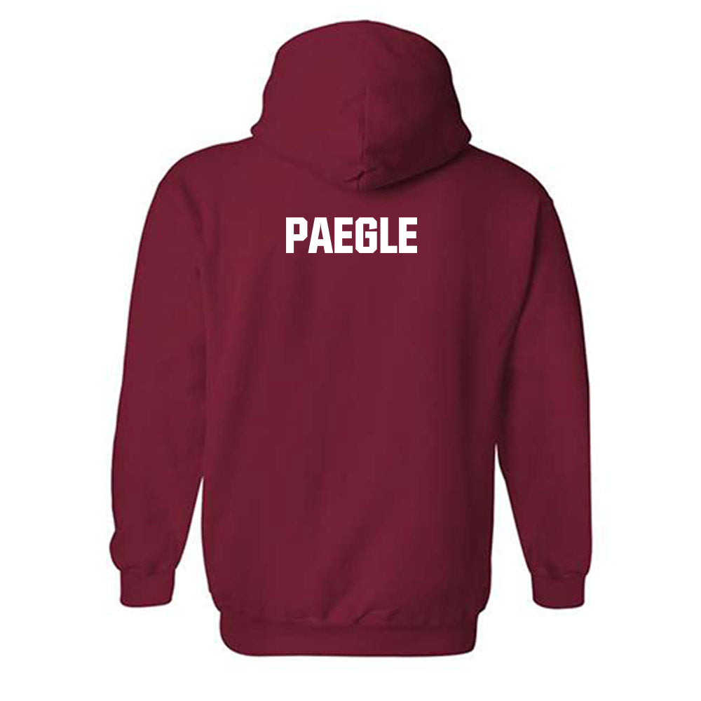 Indiana - NCAA Men's Swimming & Diving : Lukas Paegle - Classic Shersey Hooded Sweatshirt-1