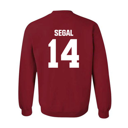 Indiana - NCAA Women's Volleyball : Emma Segal - Classic Shersey Crewneck Sweatshirt-1