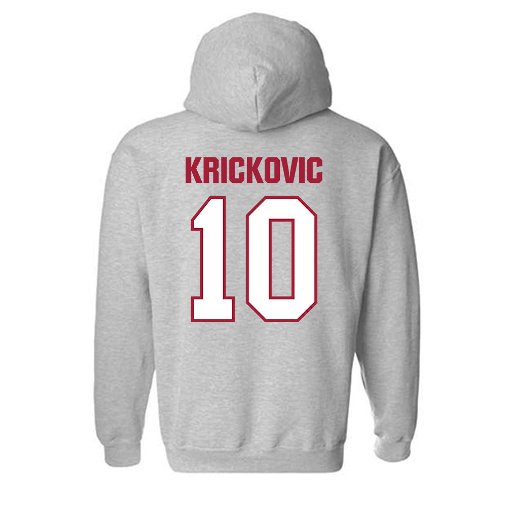Indiana - NCAA Women's Volleyball : Teodora Krickovic - Classic Shersey Hooded Sweatshirt-1