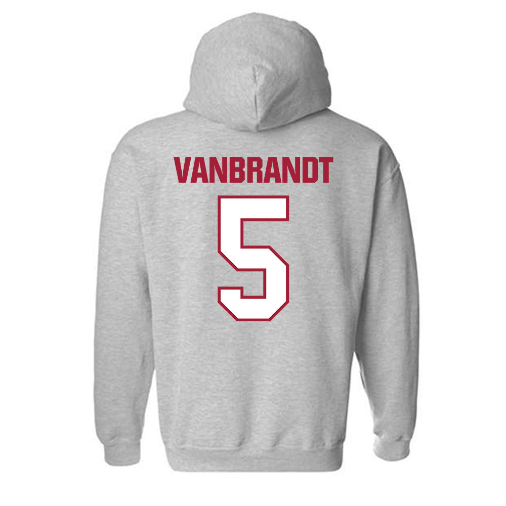 Indiana - NCAA Softball : Aly VanBrandt - Classic Shersey Hooded Sweatshirt-1