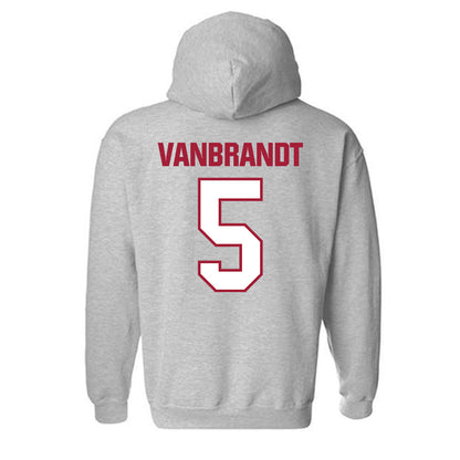 Indiana - NCAA Softball : Aly VanBrandt - Classic Shersey Hooded Sweatshirt-1