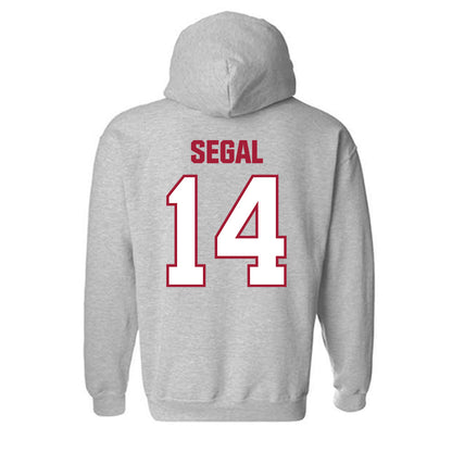 Indiana - NCAA Women's Volleyball : Emma Segal - Classic Shersey Hooded Sweatshirt-1