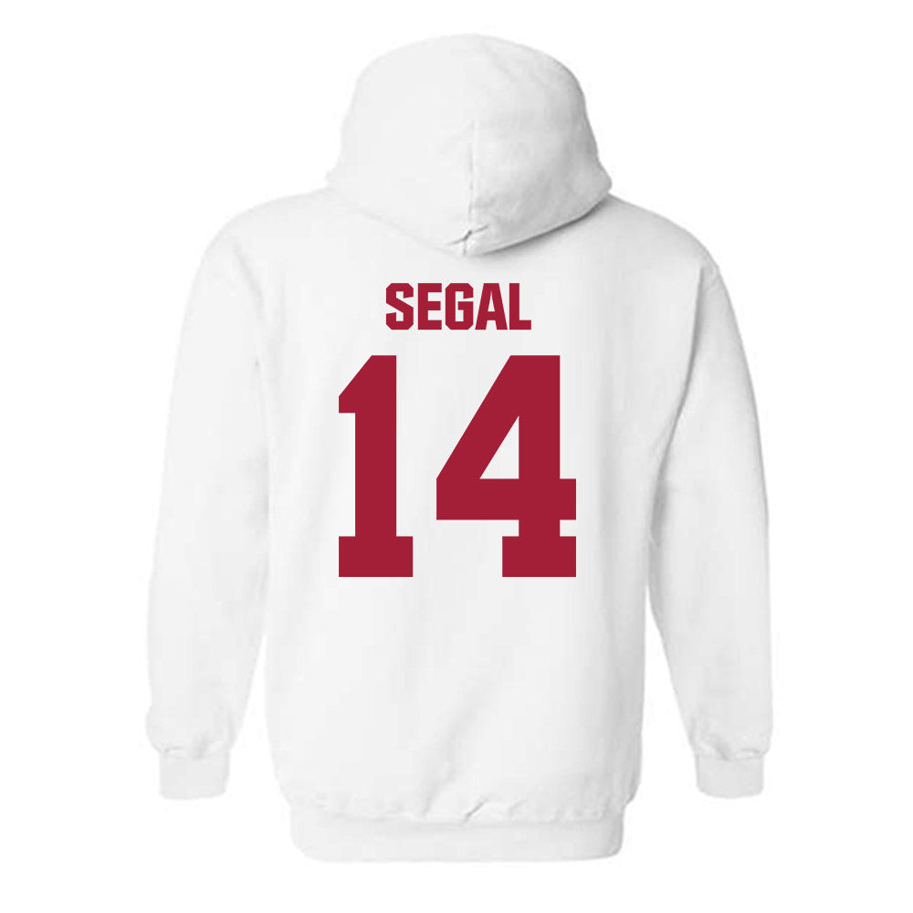 Indiana - NCAA Women's Volleyball : Emma Segal - Classic Shersey Hooded Sweatshirt-1