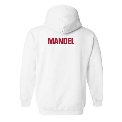 Indiana - NCAA Women's Rowing : Daniella Mandel - Classic Shersey Hooded Sweatshirt-1