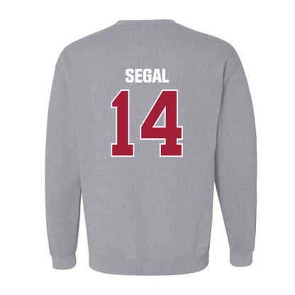 Indiana - NCAA Women's Volleyball : Emma Segal - Classic Shersey Crewneck Sweatshirt-1