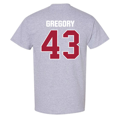 Indiana - NCAA Softball : Megan Gregory - Classic Shersey T-Shirt-1