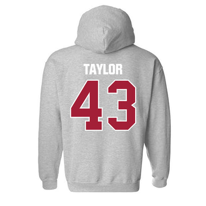 Indiana - NCAA Football : Bryce Taylor - Classic Shersey Hooded Sweatshirt-1