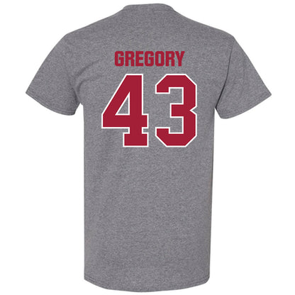 Indiana - NCAA Softball : Megan Gregory - Classic Shersey T-Shirt-1