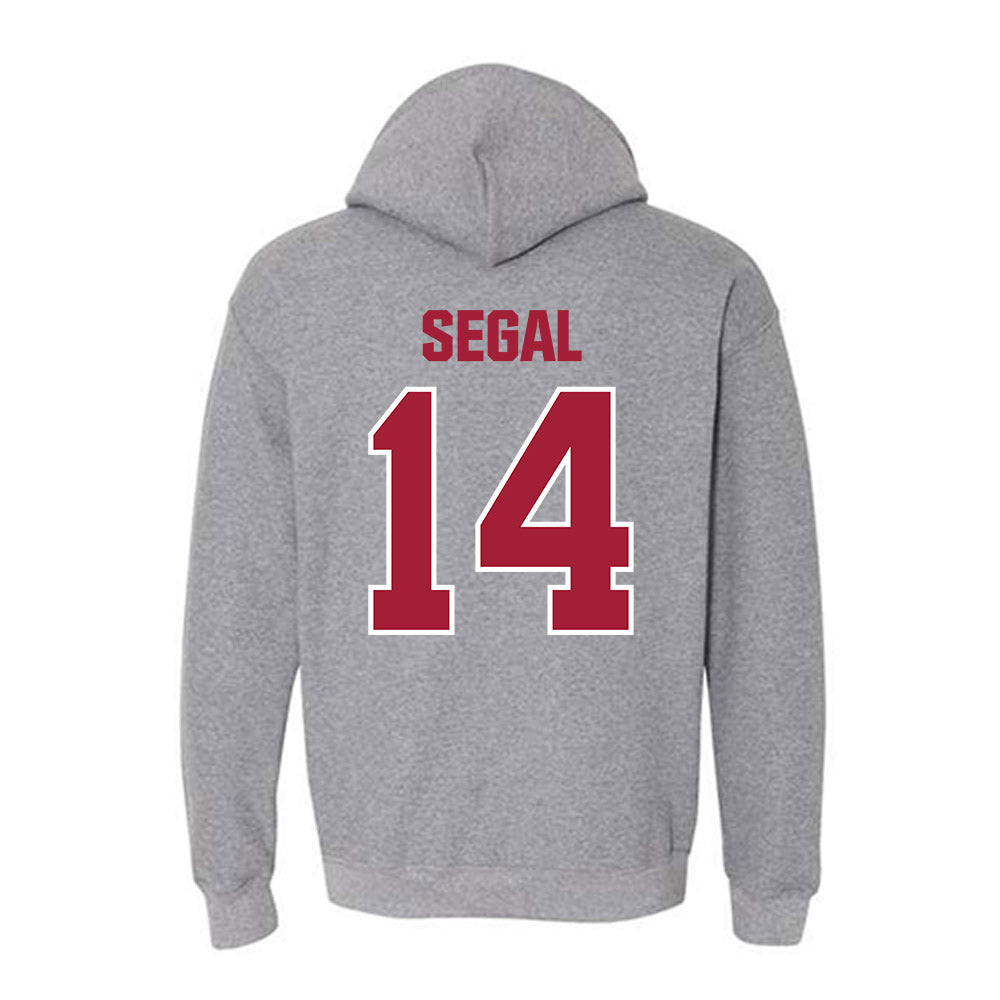 Indiana - NCAA Women's Volleyball : Emma Segal - Classic Shersey Hooded Sweatshirt-1
