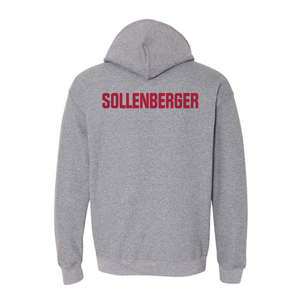 Indiana - NCAA Men's Swimming & Diving : Joshua Sollenberger - Classic Shersey Hooded Sweatshirt-1