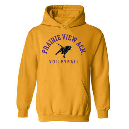 PVAMU - NCAA Women's Volleyball : MaKinzie Taplin - Classic Shersey Hooded Sweatshirt-0