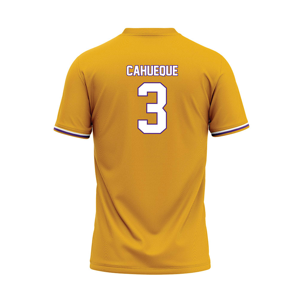 PVAMU - NCAA Softball : Maggie Cahueque - Baseball Jersey-1