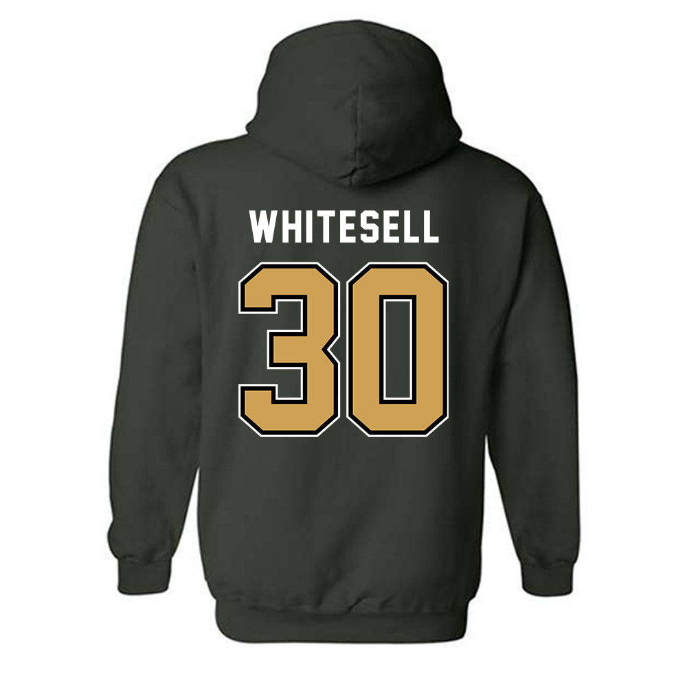 Wright State - NCAA Baseball : Max Whitesell - Hooded Sweatshirt-1