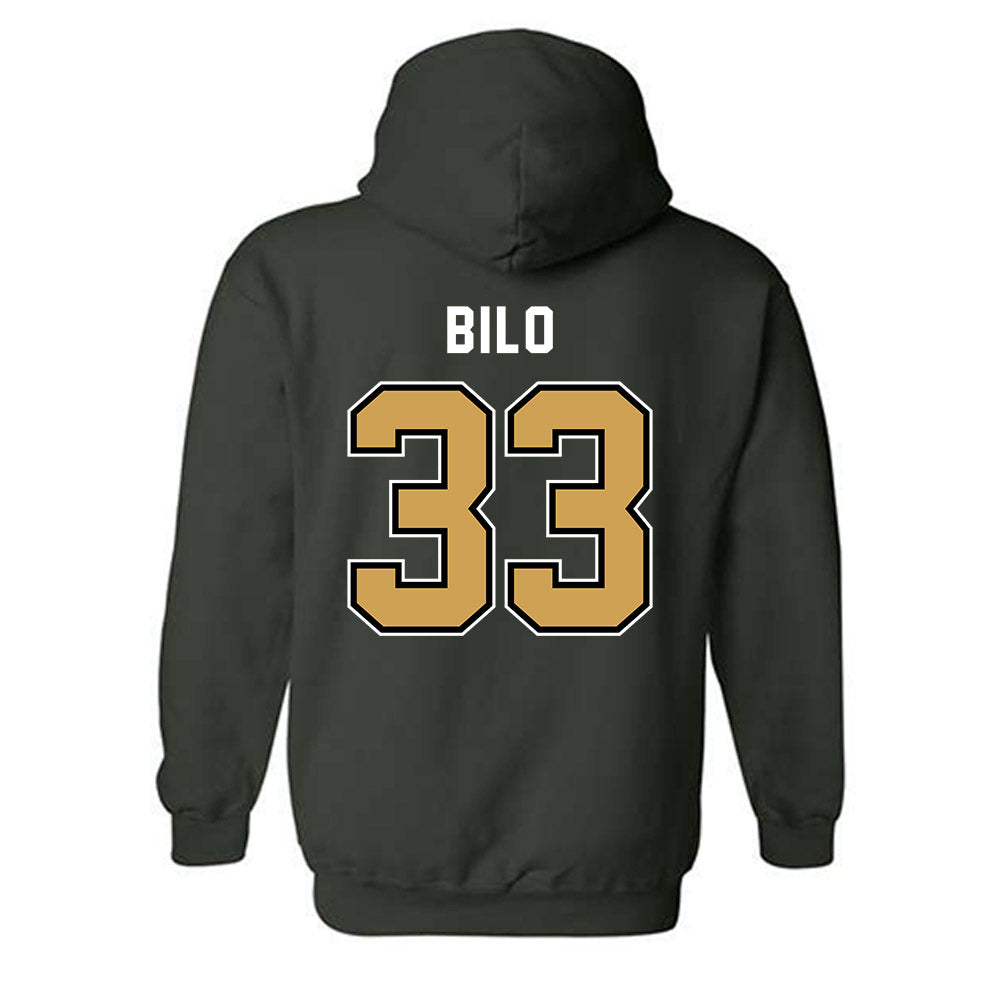 Wright State - NCAA Baseball : Michael Bilo - Hooded Sweatshirt-1