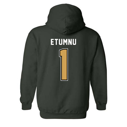 Wright State - NCAA Men's Basketball : Bryan Etumnu - Hooded Sweatshirt-1