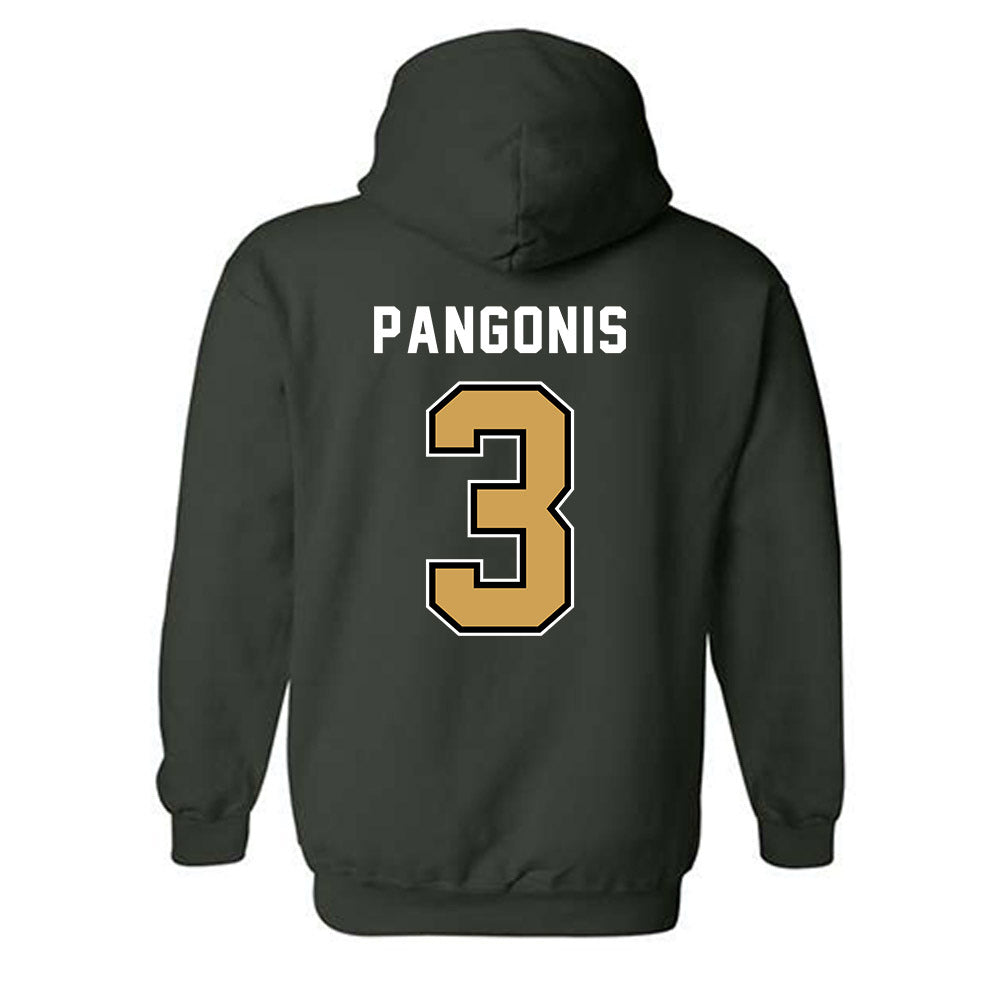 Wright State - NCAA Men's Basketball : Dominic Pangonis - Hooded Sweatshirt-1