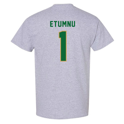 Wright State - NCAA Men's Basketball : Bryan Etumnu - T-Shirt-1