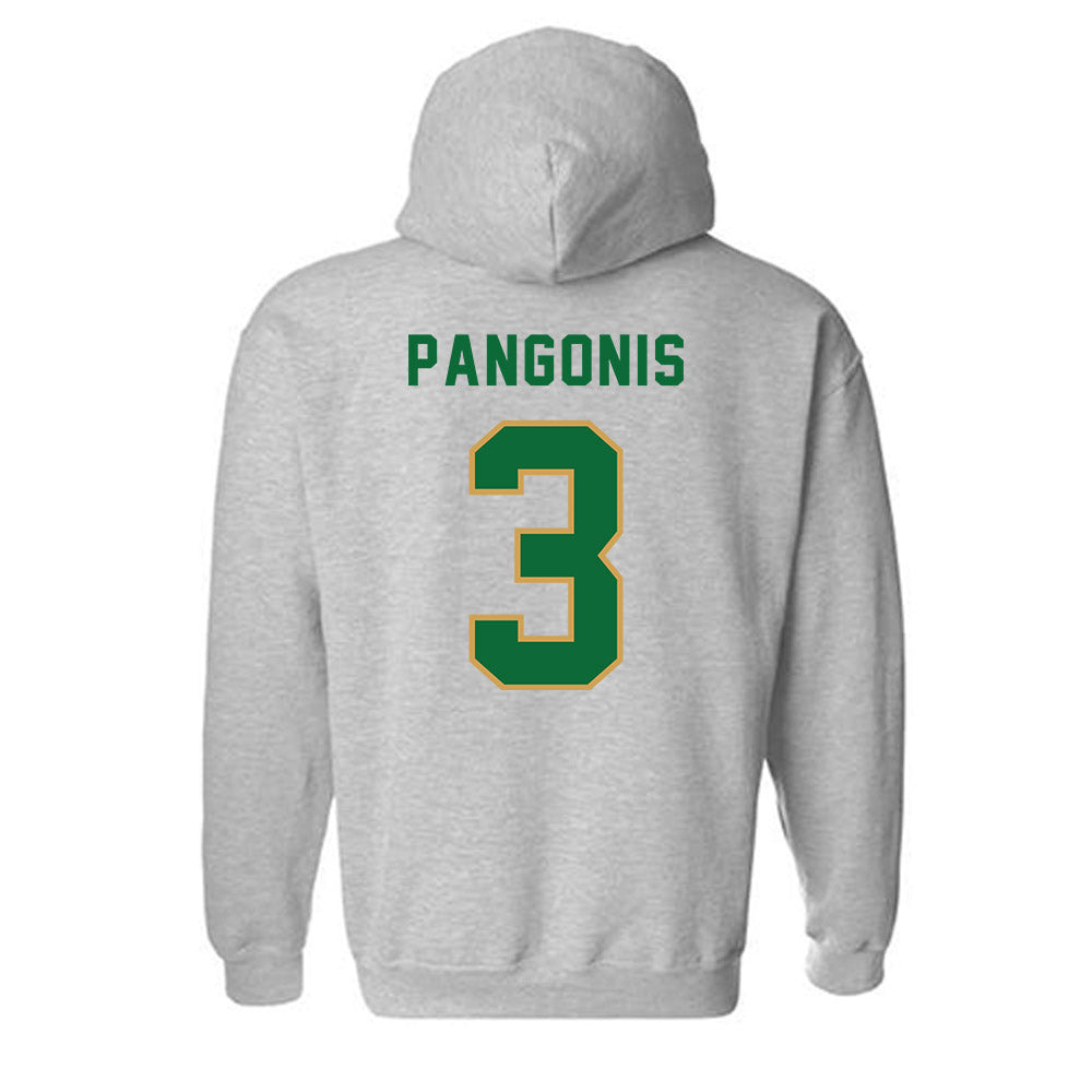 Wright State - NCAA Men's Basketball : Dominic Pangonis - Hooded Sweatshirt-1