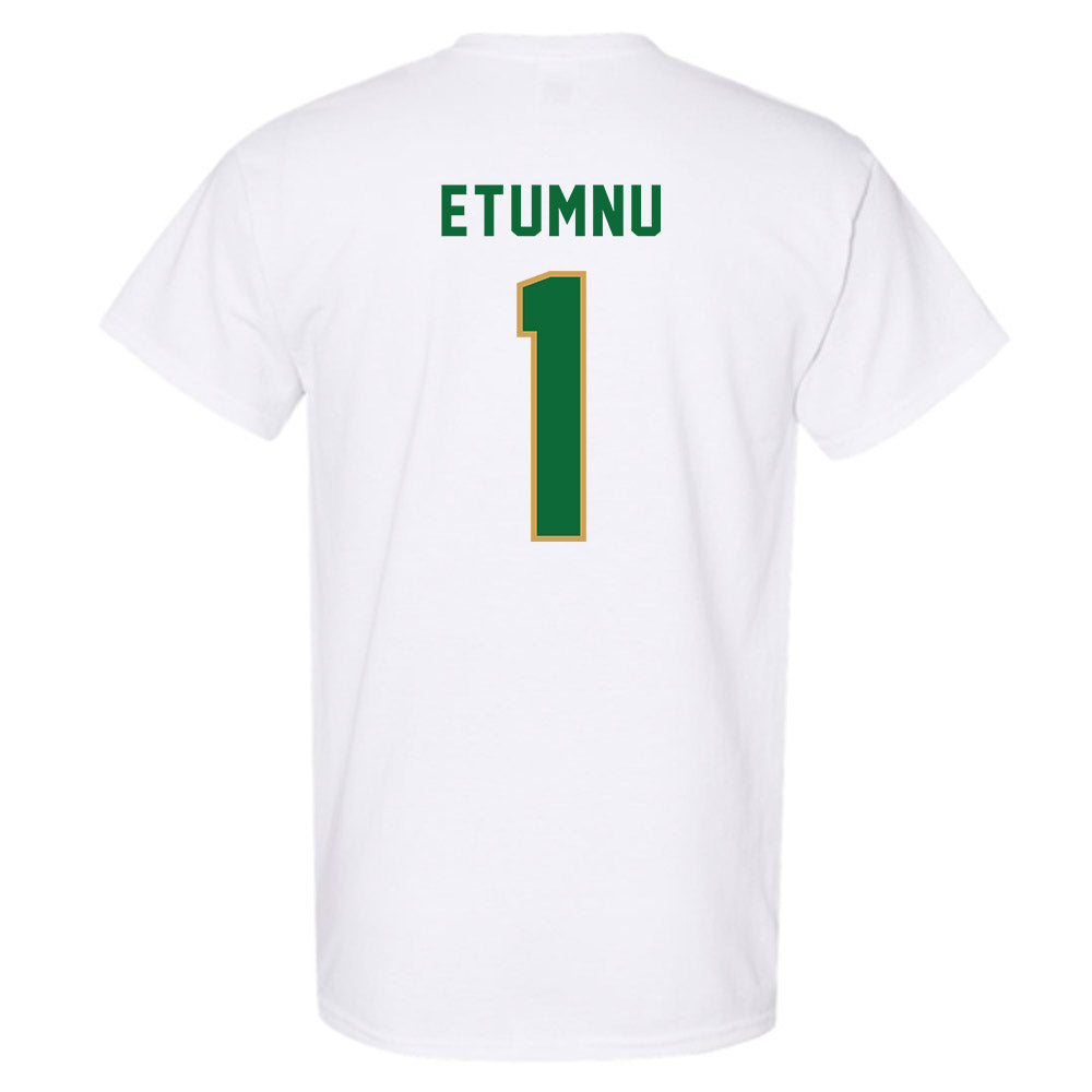 Wright State - NCAA Men's Basketball : Bryan Etumnu - T-Shirt-1