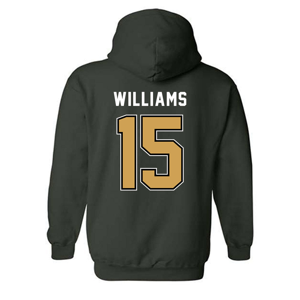 Wright State - NCAA Men's Basketball : Isaiah-Michael Williams - Hooded Sweatshirt-1