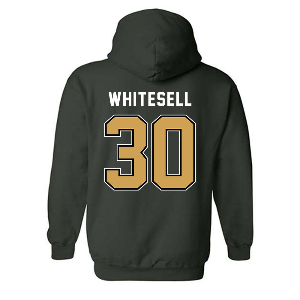 Wright State - NCAA Baseball : Max Whitesell - Hooded Sweatshirt-1