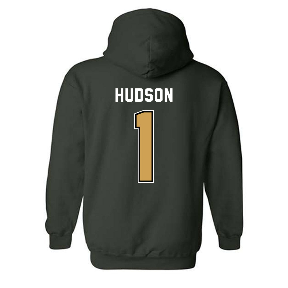 Wright State - NCAA Women's Volleyball : Audrey Hudson - Hooded Sweatshirt-1