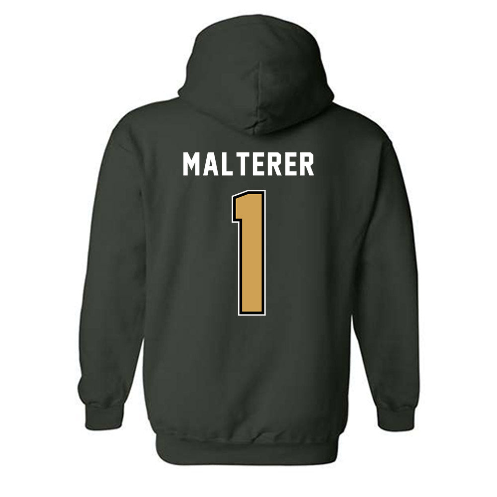 Wright State - NCAA Men's Soccer : Alessandro Malterer - Hooded Sweatshirt-1