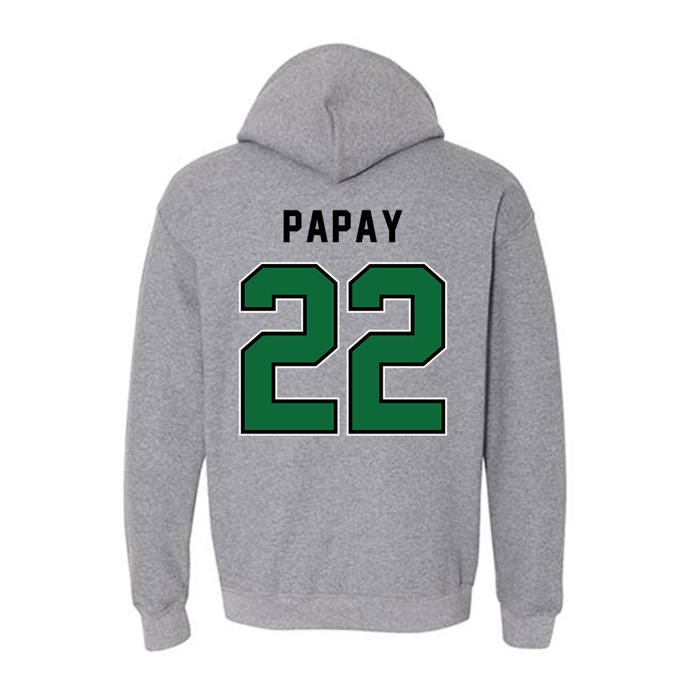 Wright State - NCAA Baseball : Brody Papay - Hooded Sweatshirt-1