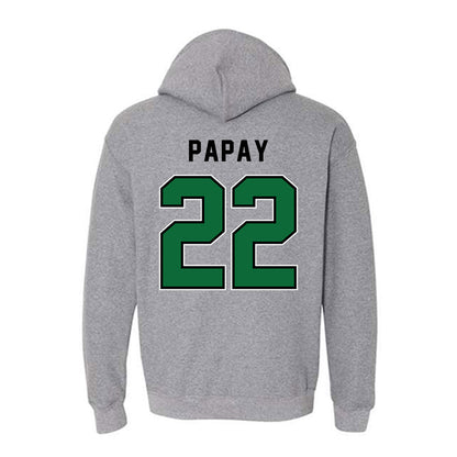 Wright State - NCAA Baseball : Brody Papay - Hooded Sweatshirt-1