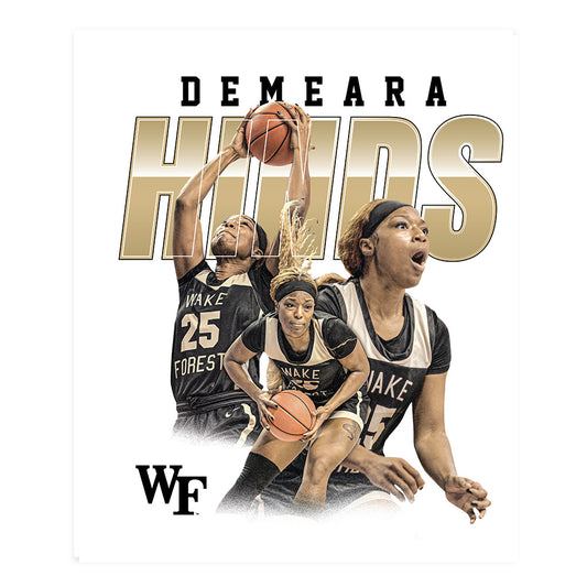 Wake Forest - NCAA Women's Basketball : Demeara Hinds - Collage Poster 20x24-0