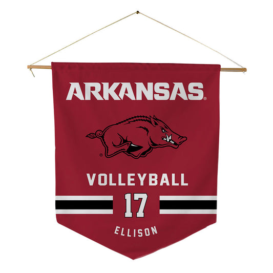 Arkansas - NCAA Women's Volleyball : Skylar Ellison - Pennant - 18" x 21"-0