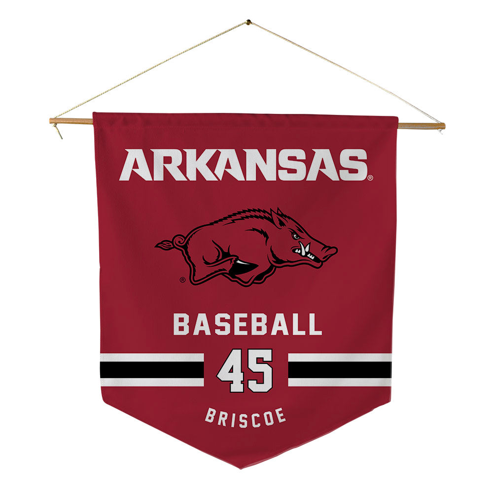 Arkansas - NCAA Baseball : Tye Briscoe - Pennant - 18" x 21"-0