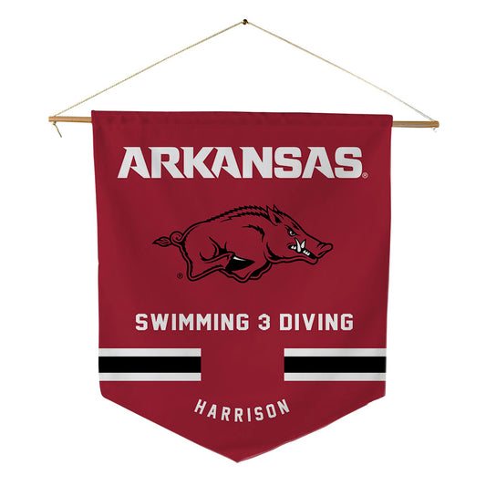 Arkansas - NCAA Women's Swimming & Diving : Delaney Harrison - Pennant - 18" x 21"-0